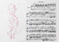 Visualisation produced by playing Partita I. by Bach
